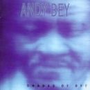 Shades of Bey-Andy Bey